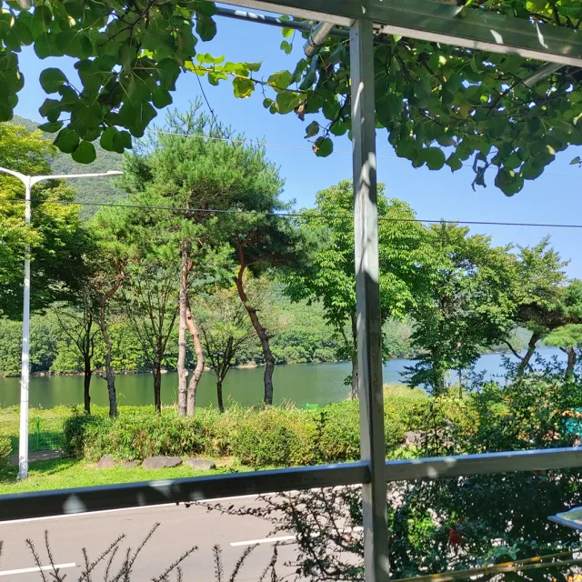 처음처럼