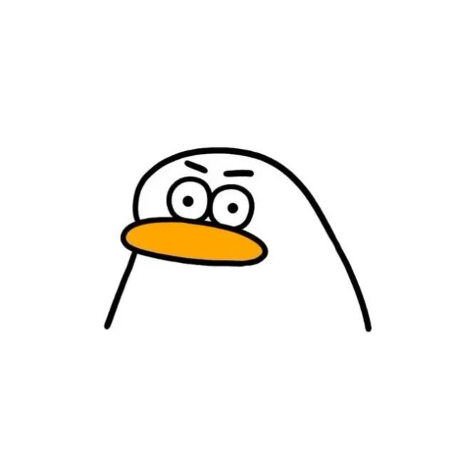 주디