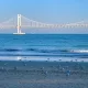 별셋맘