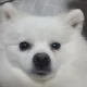 쁚뽁뿌