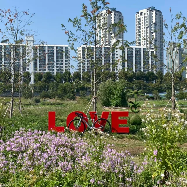 당근럽