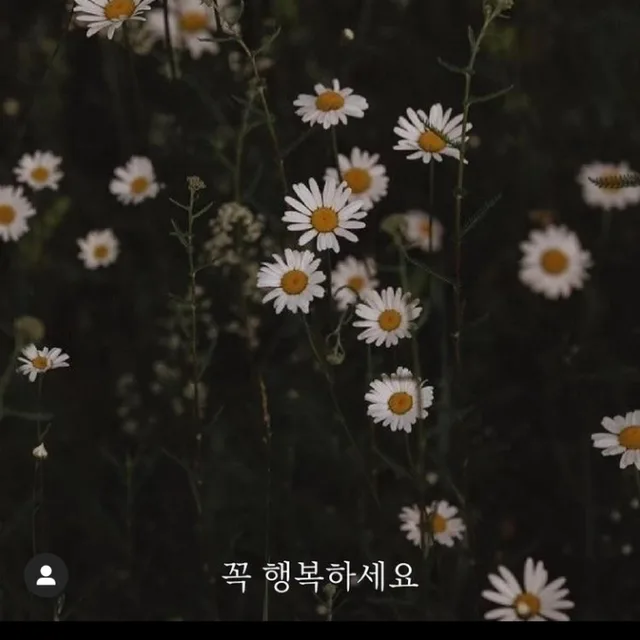 미니멀이되고싶다