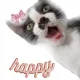 Herry