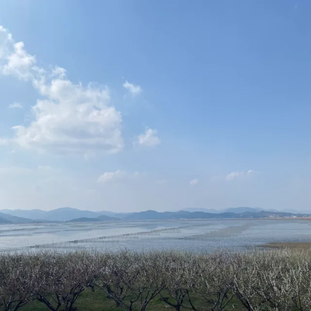 뿌뿌