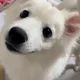 우르르륵팡