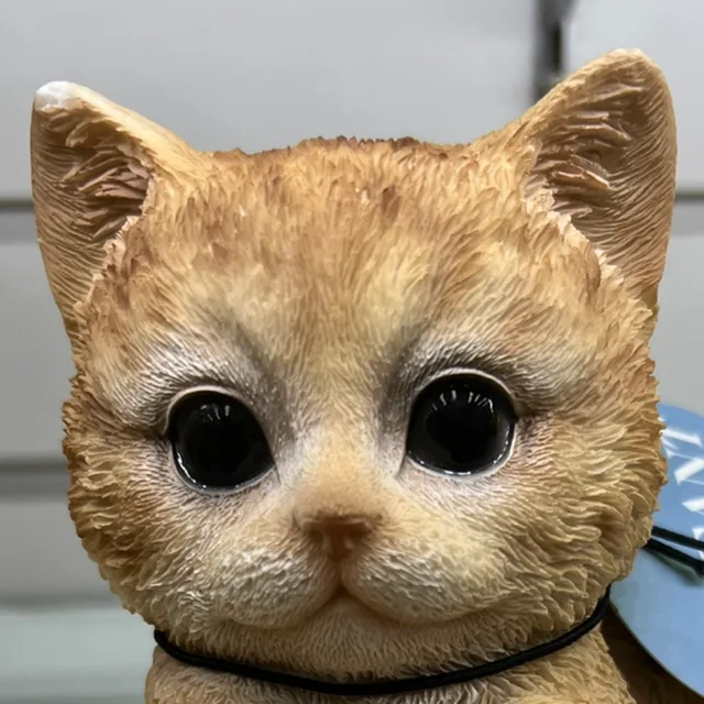 구구구