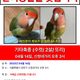 또리를찾아주세요