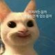 고먐미
