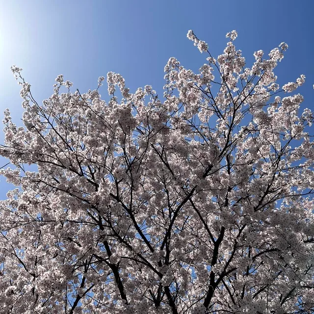 알콩달콩