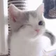 광야