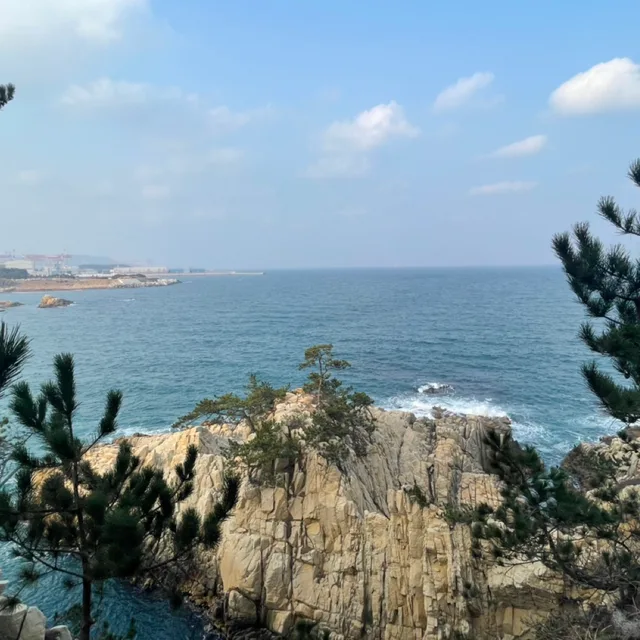 꽈악