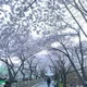 위넬