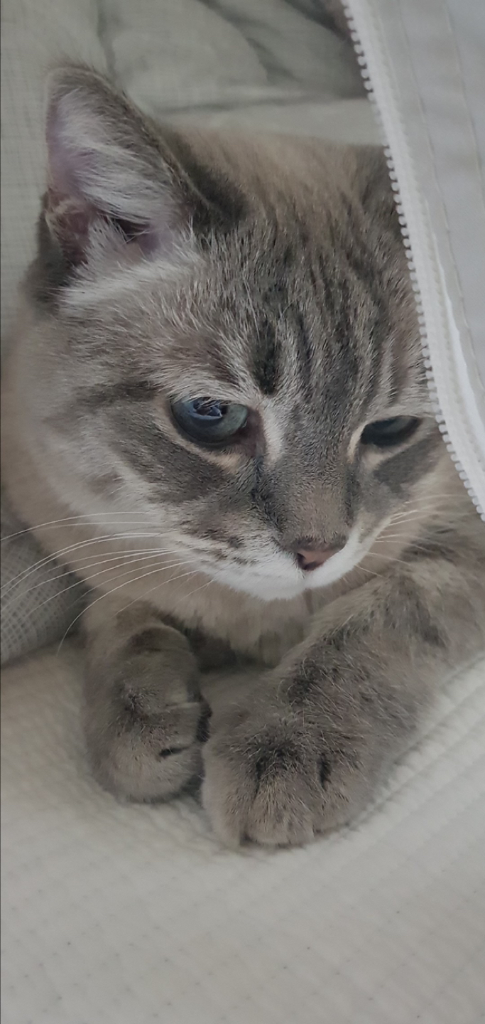 권정현