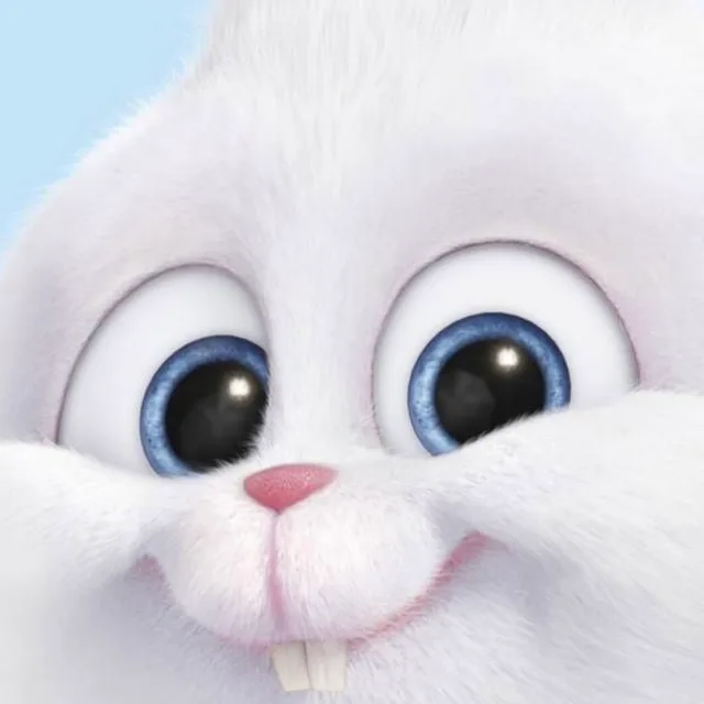 스노우볼