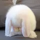 밍쓰