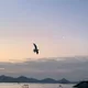 포레스트