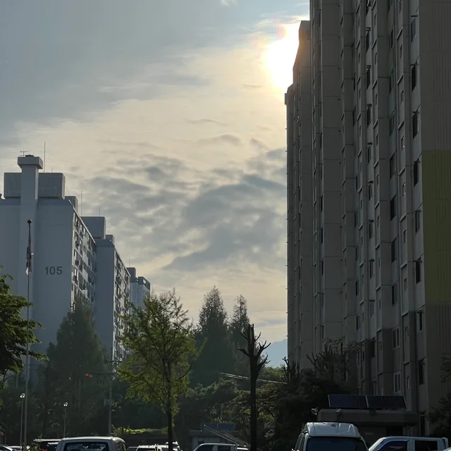 당근이저아
