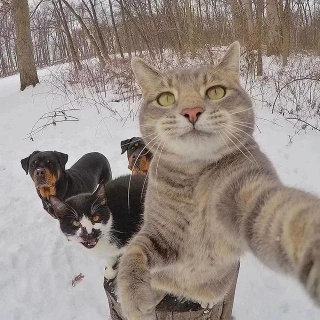 뛰뛰