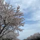 동동28