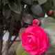 정성묵