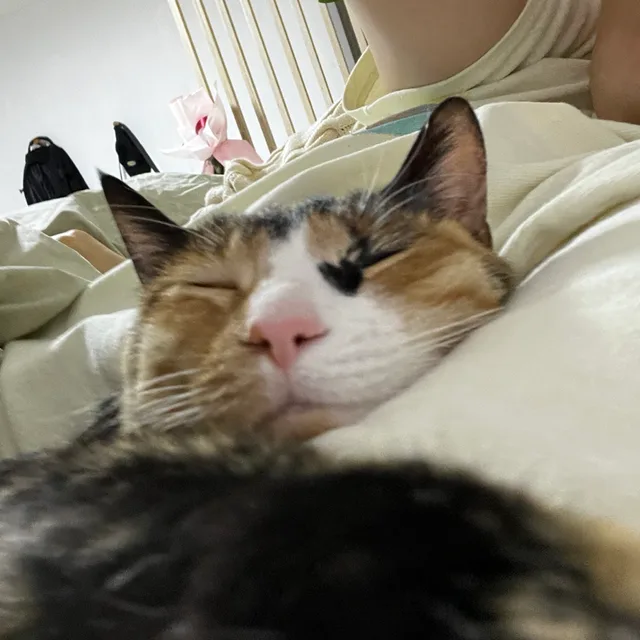 달버지