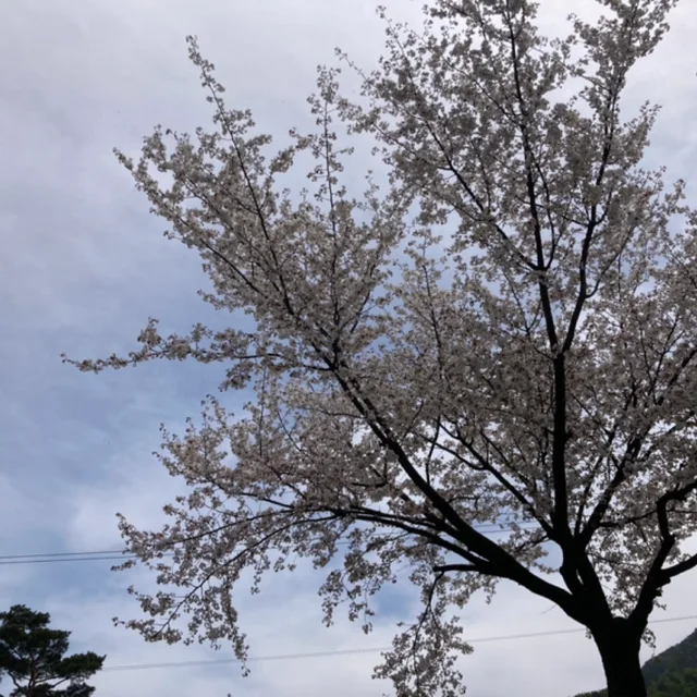 시간