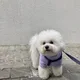 바오