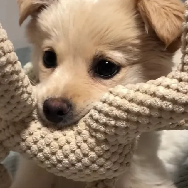 민달팽이
