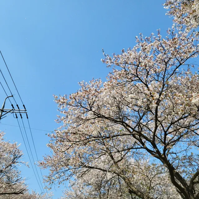 어여쁜자야