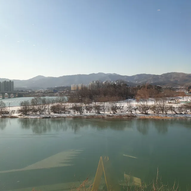 머스트
