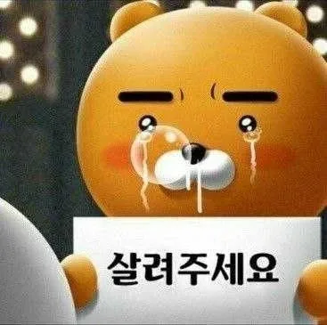 라이언이라