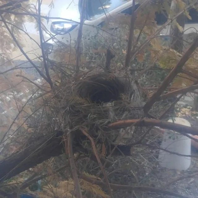전기수도공사