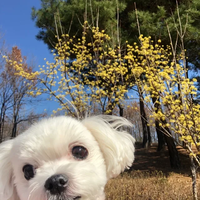 여름언니