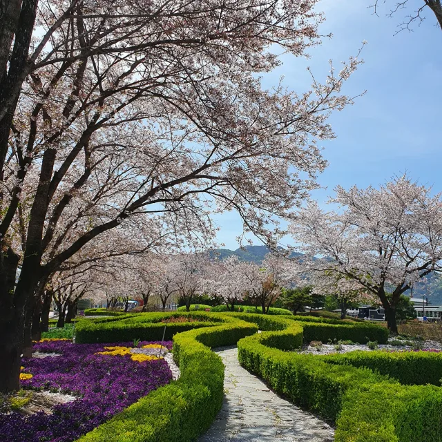 우리처피
