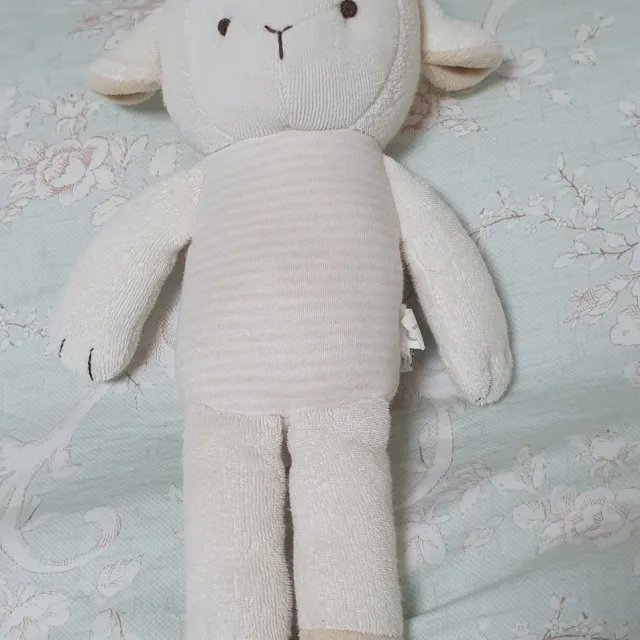 사랑이