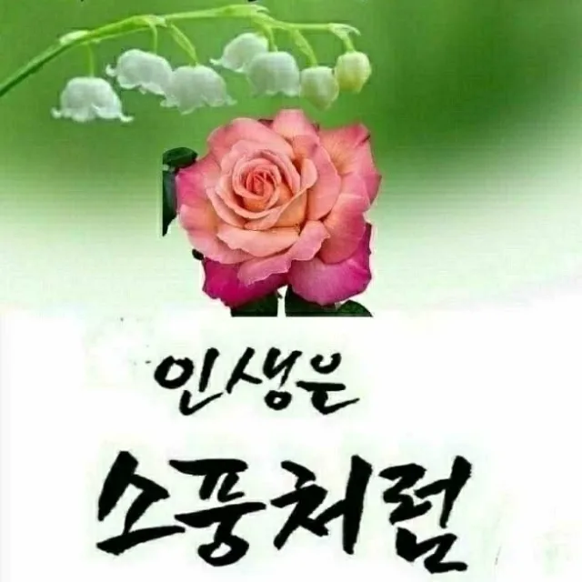 완주