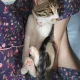희야