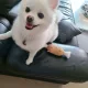 당군