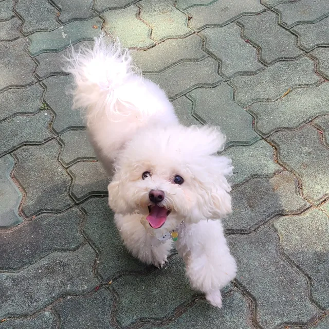 베리누나
