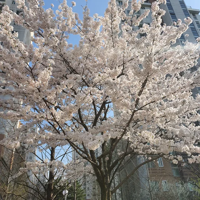 이쁘다