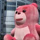 꼼집