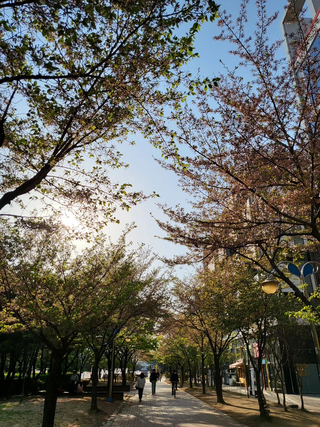 커틀렛