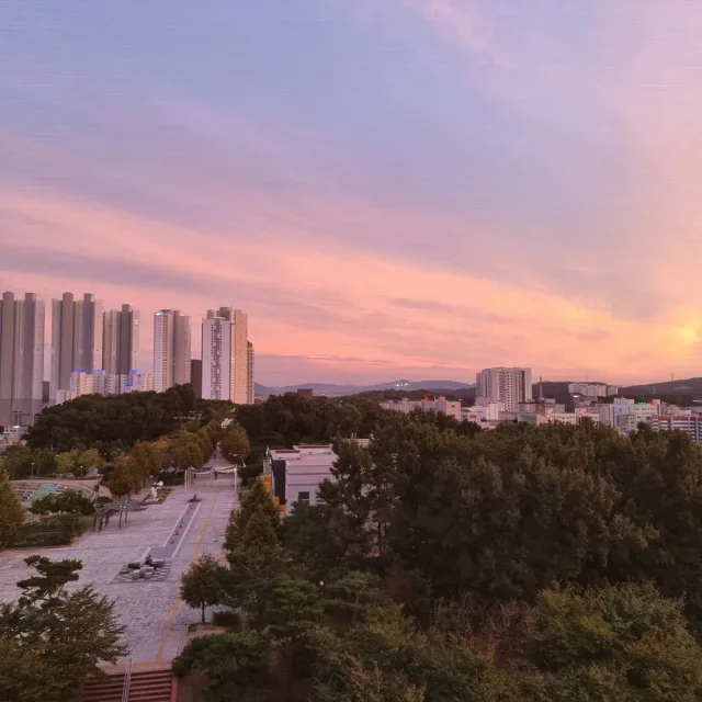 한화팬