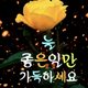 뻐꾹이요