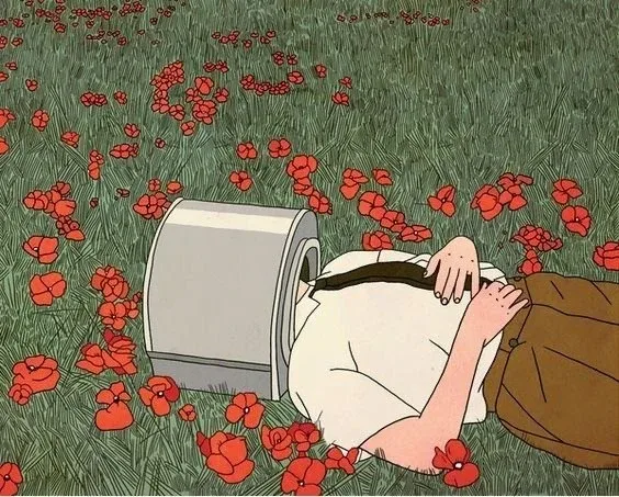 꿀앵두
