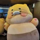 김춘식