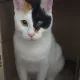 사랑맘