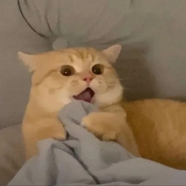 꺄아아