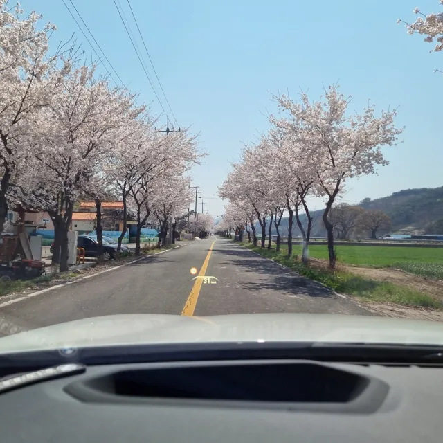 고맑음