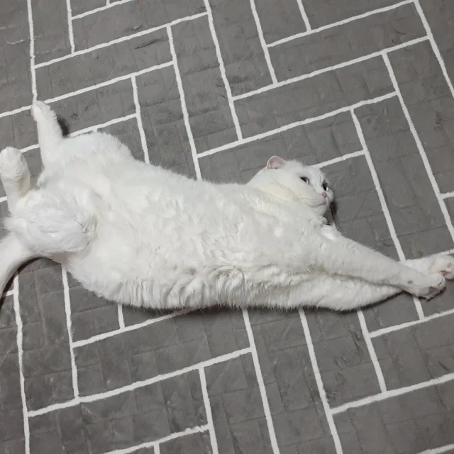 새대주
